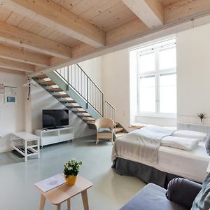 Studio met een King Size Bed met de Toegang voor Gehandicapten